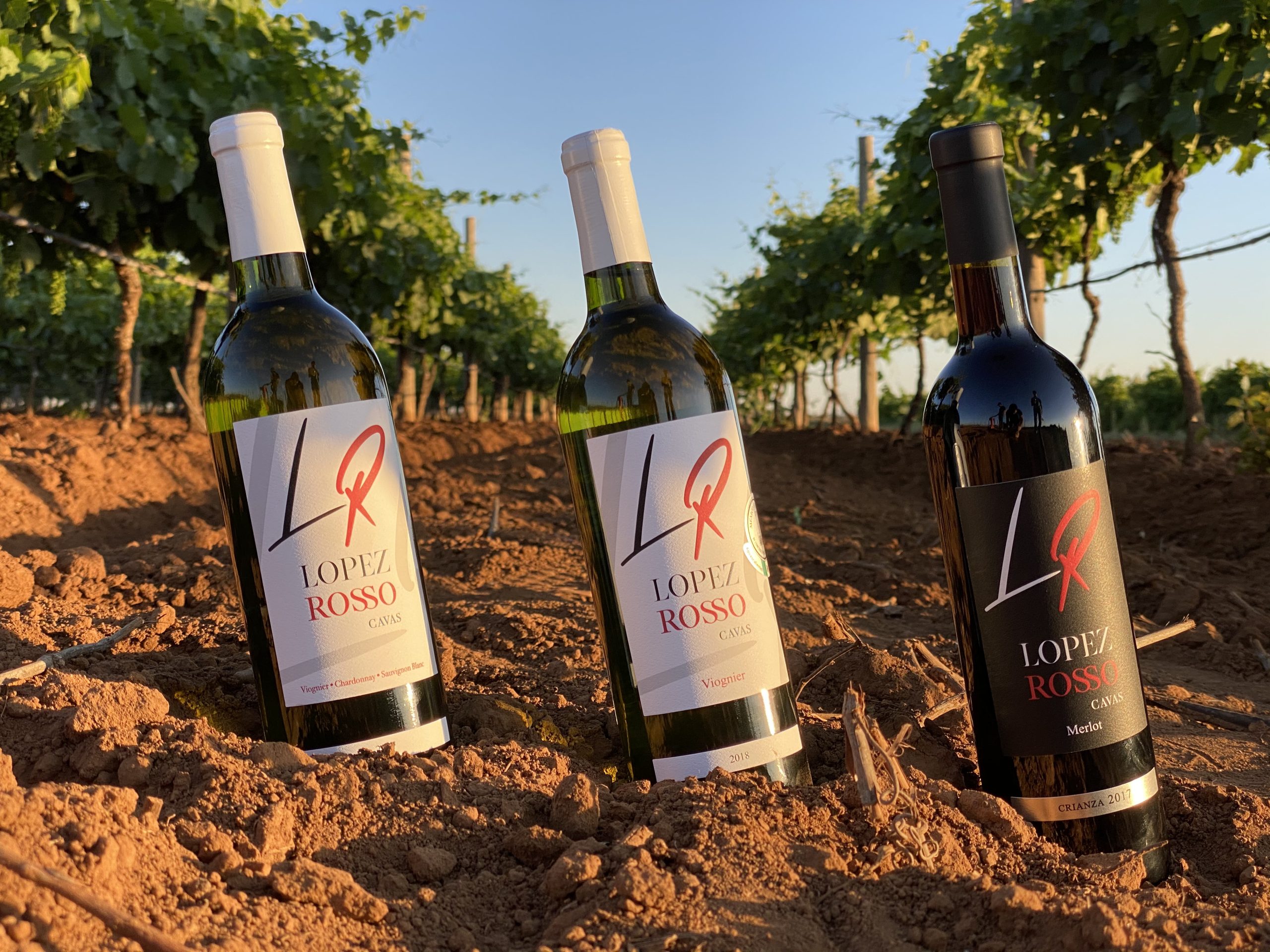 Viñedo Lopez Rosso